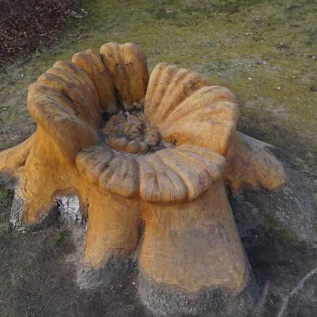 Kuestenwald - Ostseeluft Muritz