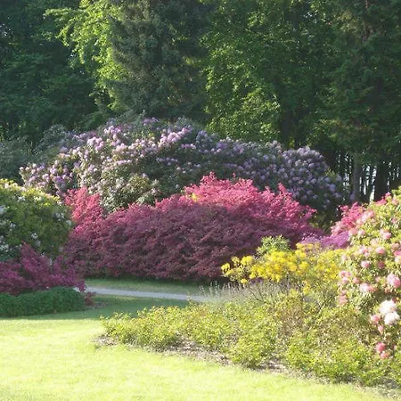 Kuestenwald - Ostseeluft Muritz