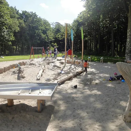 Kuestenwald - Ostseeluft Muritz