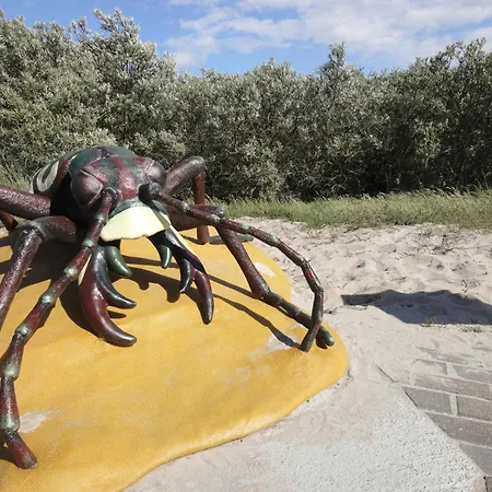 Kuestenwald - Ostseeluft * Muritz