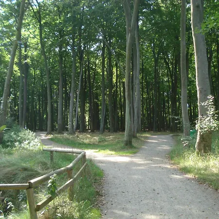 Kuestenwald - Ostseeluft * Muritz