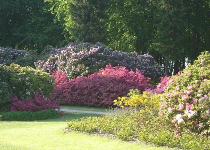 Kuestenwald - Ostseeluft Muritz