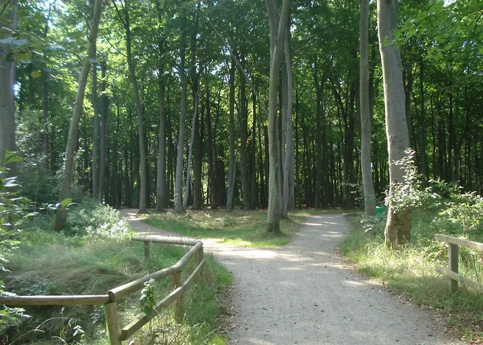 Kuestenwald - Ostseeluft * Muritz